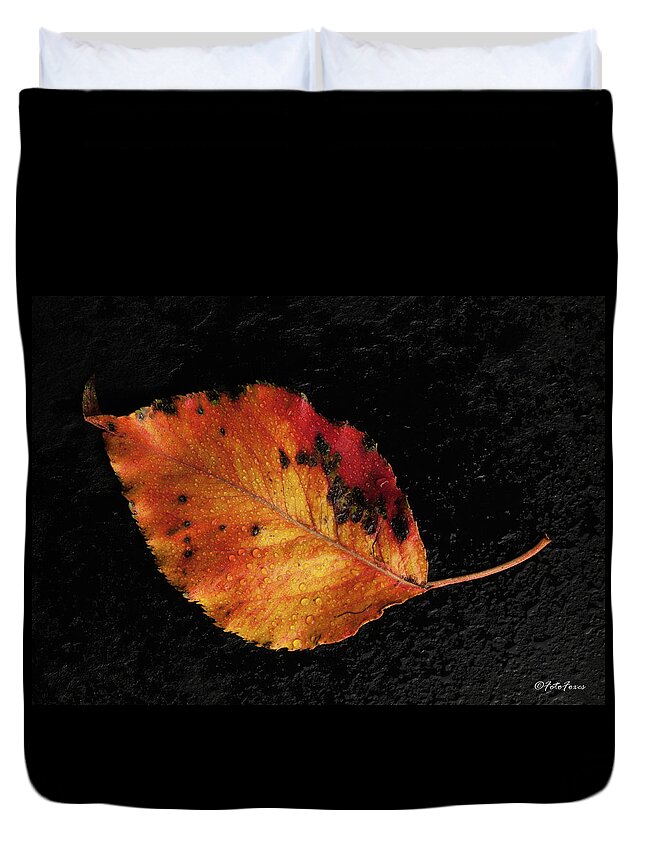Autumn Duvet Cover featuring the photograph Autumn Leaf #3 by Alexander Fedin