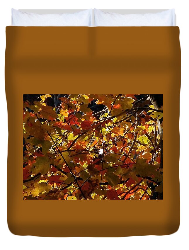 Leaves Duvet Cover featuring the photograph Autumn Leaves #3 by Wolfgang Schweizer