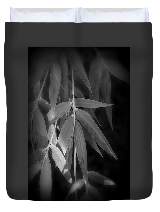 Asian Duvet Cover featuring the photograph Bamboo Foliage #3 by Nathan Abbott