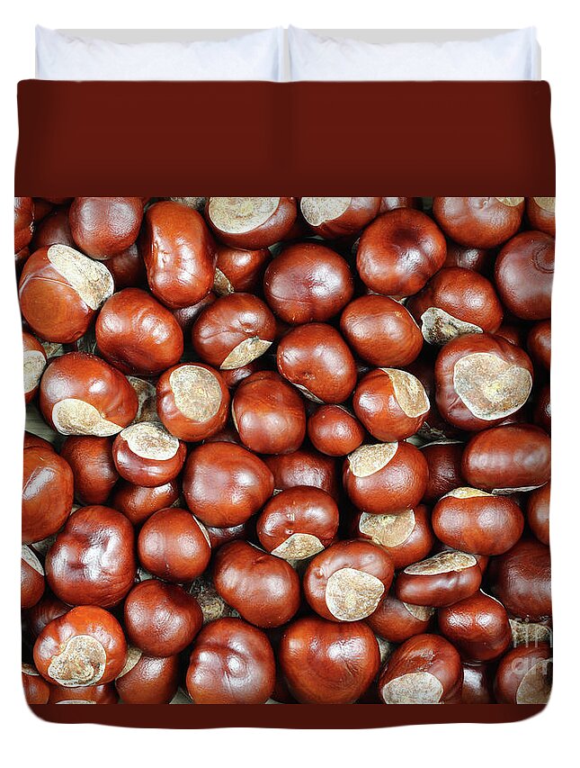 Conker Duvet Cover featuring the photograph Conkers by Michal Boubin