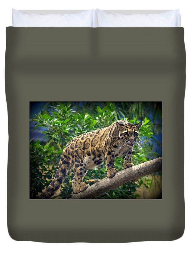 Cat Duvet Cover featuring the photograph Clouded Leopard Neofelis nebulosa #3 by Nathan Abbott
