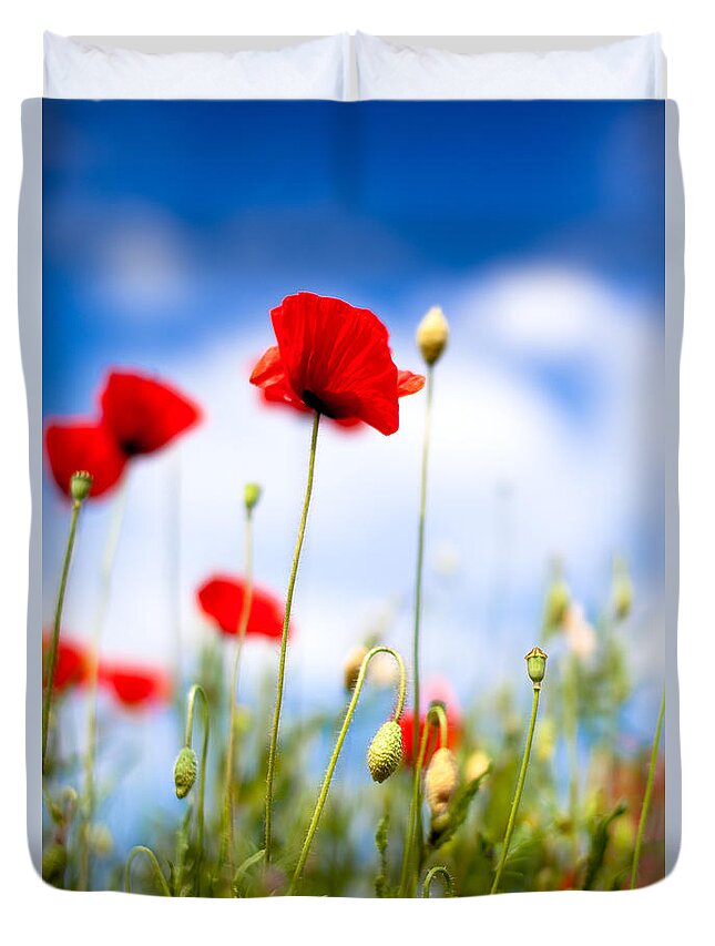 Poppy Duvet Cover featuring the photograph Corn Poppy Flowers #3 by Nailia Schwarz
