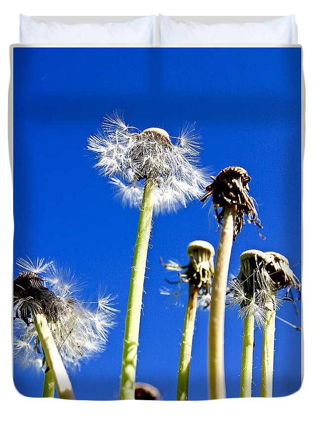 Dandelion Duvet Cover featuring the photograph Dandelion #3 by Elisabeth Derichs