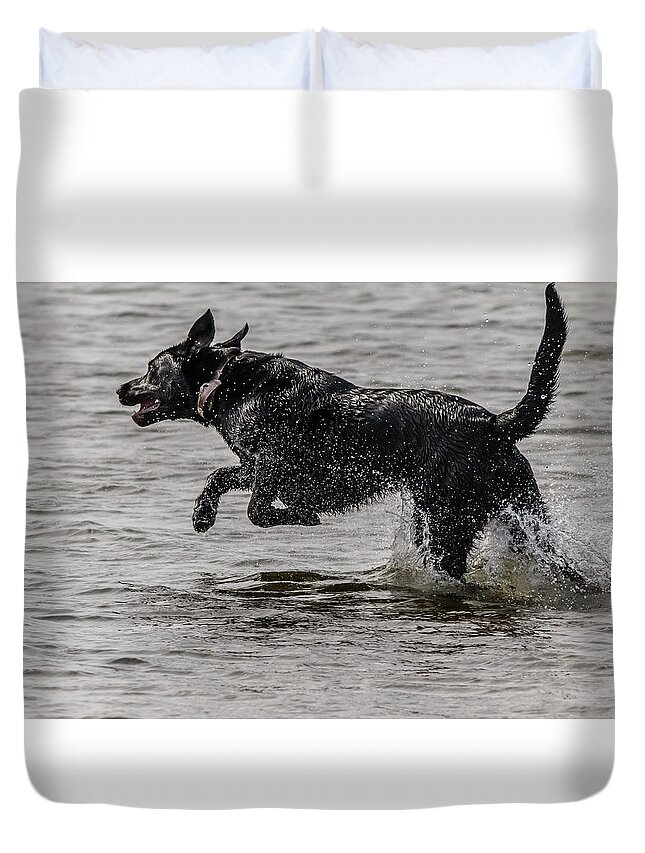 Black Dog Duvet Cover featuring the photograph Dog playing in water #3 by SAURAVphoto Online Store