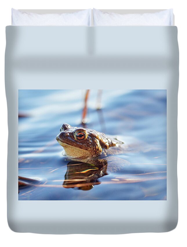 Bufo Bufo Duvet Cover featuring the photograph European toad #3 by Jouko Lehto
