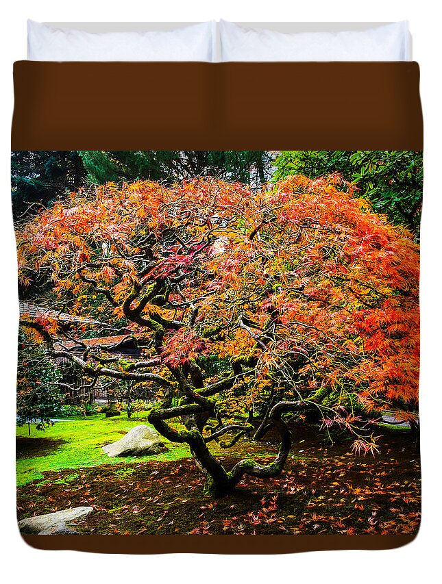 Landscape Duvet Cover featuring the photograph Fall Color - Japanese Maple #3 by Hisao Mogi