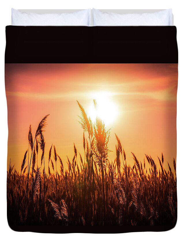 Sunset Duvet Cover featuring the photograph Golden hour #3 by Lilia S