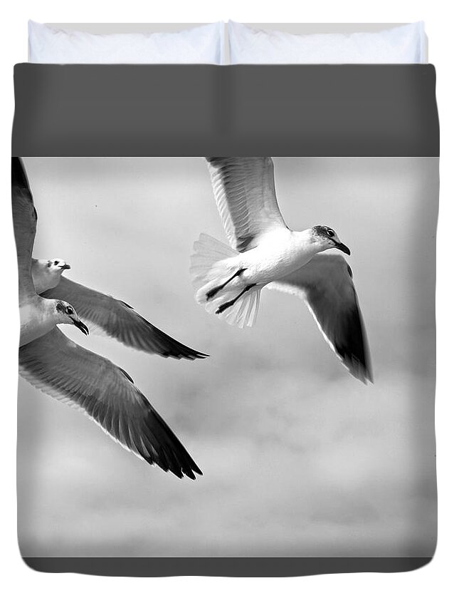 Bird Duvet Cover featuring the photograph 3 Gulls by Robert Och