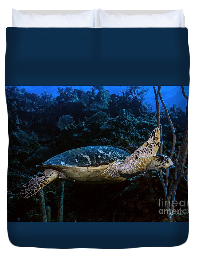 Hawksbill Duvet Cover featuring the photograph Hawksbill Turtle #3 by JT Lewis