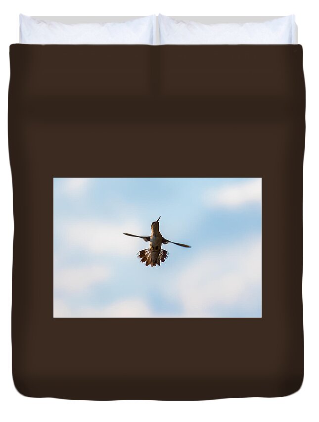 Hummingbird Duvet Cover featuring the photograph Hummingbird by Holden The Moment