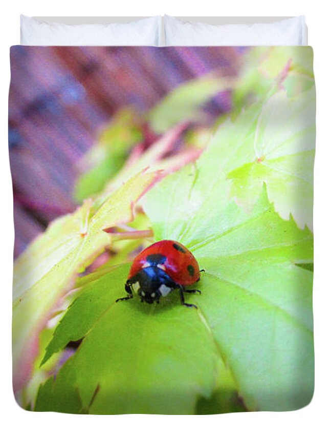 Ladybug Duvet Cover featuring the photograph Macro #3 by Cesar Vieira