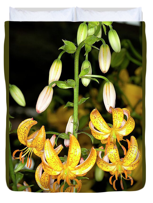 Martagon Lily Duvet Cover featuring the photograph Martagon Lily #3 by Anthony Totah