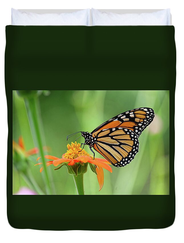 Butterfly Duvet Cover featuring the photograph Monarch #6 by Ronda Ryan