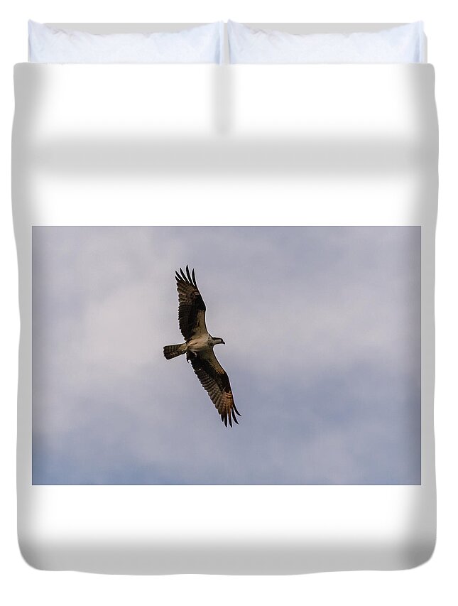 New Jersey Duvet Cover featuring the photograph Osprey in flight #3 by SAURAVphoto Online Store