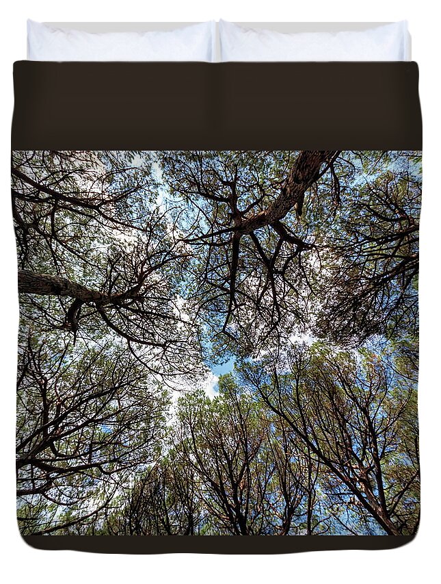 Pinewood Duvet Cover featuring the photograph Pinewood forest, Cecina, Tuscany, Italy #3 by Elenarts - Elena Duvernay photo