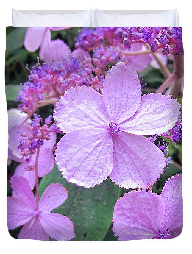 Flower Duvet Cover featuring the photograph Purple Flowers #3 by Cesar Vieira