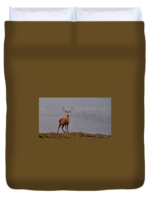 Red Deer Stag Duvet Cover featuring the photograph Red Deer Stag #3 by Gavin MacRae