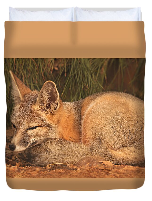 Animal Duvet Cover featuring the photograph San Joaquin Kit Fox #3 by Brian Cross