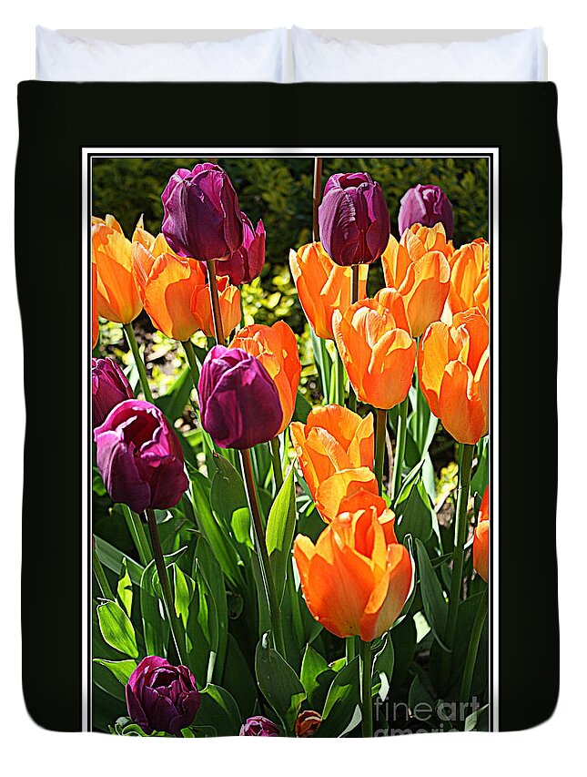 Tulips Duvet Cover featuring the photograph The Tulip Garden #1 by Dora Sofia Caputo