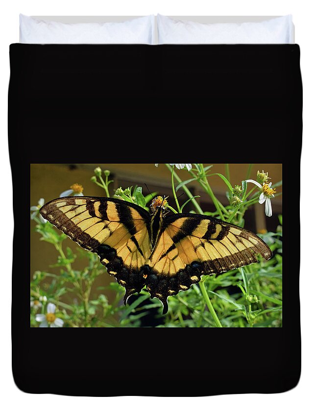 Photograph Duvet Cover featuring the photograph Tiger Swallowtail #3 by Larah McElroy