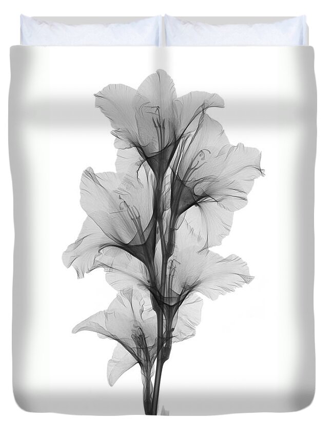 Xray Duvet Cover featuring the photograph X-ray Of A Gladiola Flower #3 by Ted Kinsman