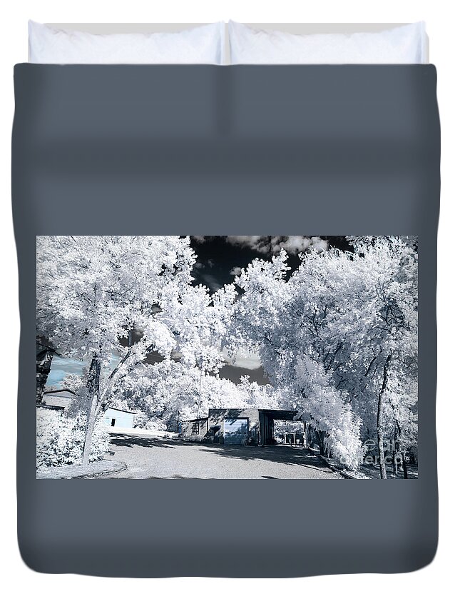 302 Duvet Cover featuring the photograph 302 Senate Street by Charles Hite