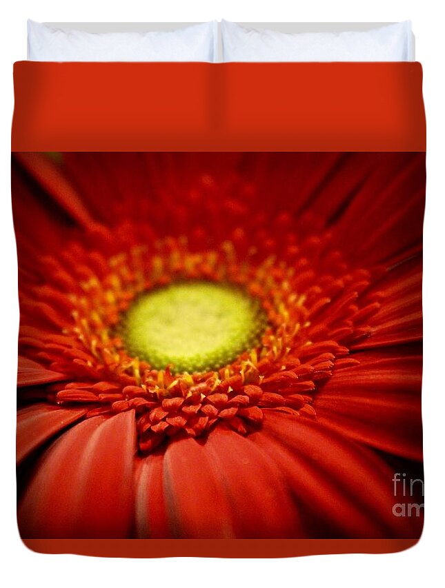 Gerber Daisy Duvet Cover featuring the photograph Flowers #36 by Deena Withycombe