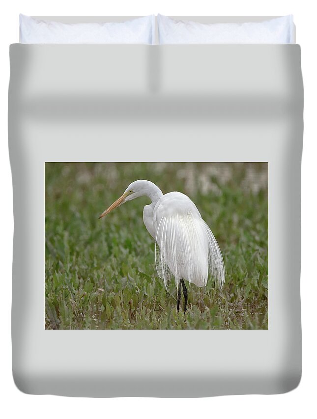 Great Duvet Cover featuring the photograph Great Egret #36 by Tam Ryan