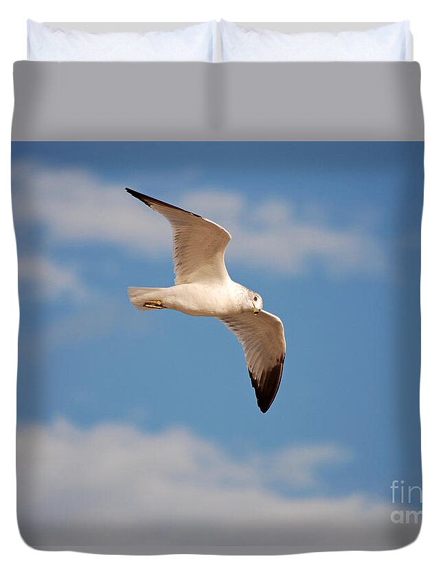 Seagull Duvet Cover featuring the photograph 36- Seagull by Joseph Keane