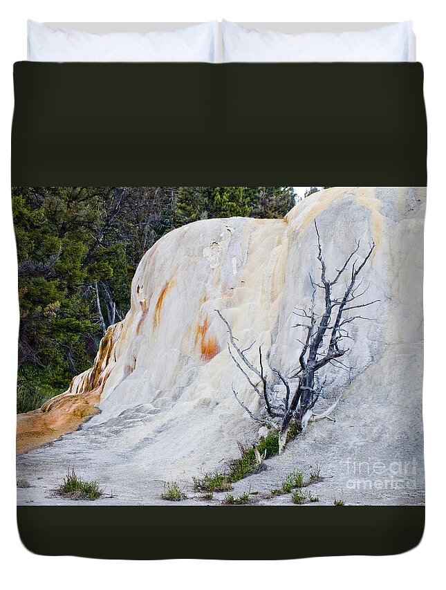 Yellowstone National Park Duvet Cover featuring the photograph Yellowstone #36 by Tara Lynn