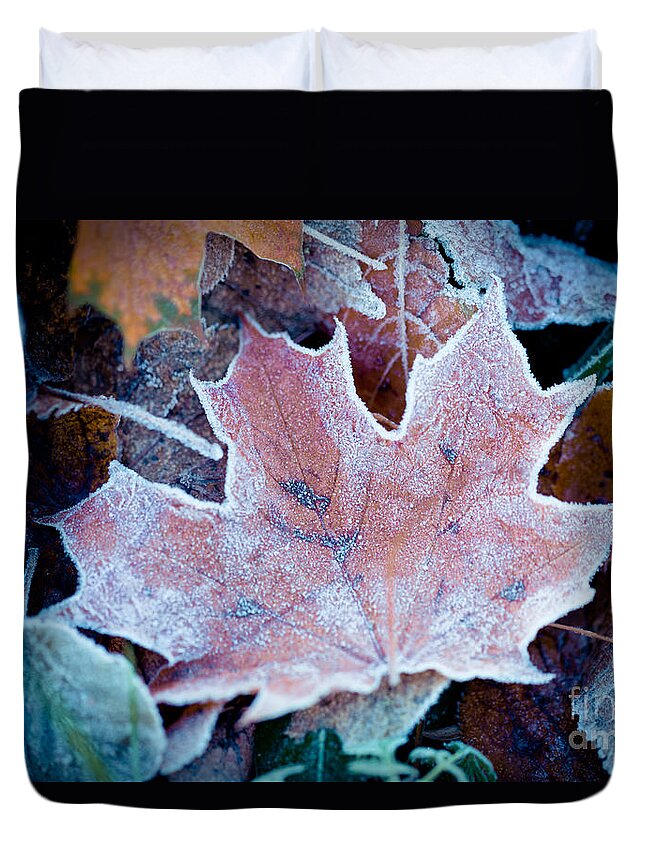 Colors Duvet Cover featuring the photograph Autumn leaves frozen Artmif.lv #4 by Raimond Klavins