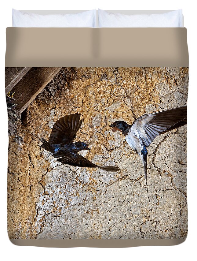 Adult Duvet Cover featuring the photograph Barn Swallow Hirundo Rustica #4 by Gerard Lacz