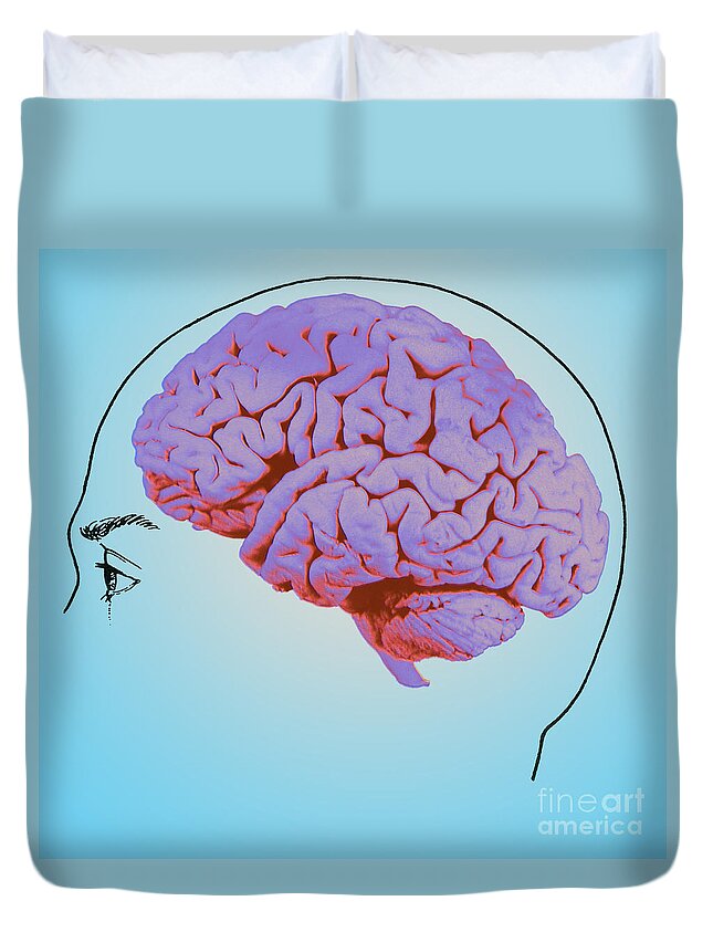 Science Duvet Cover featuring the photograph Brain, Illustration #4 by Mary Martin