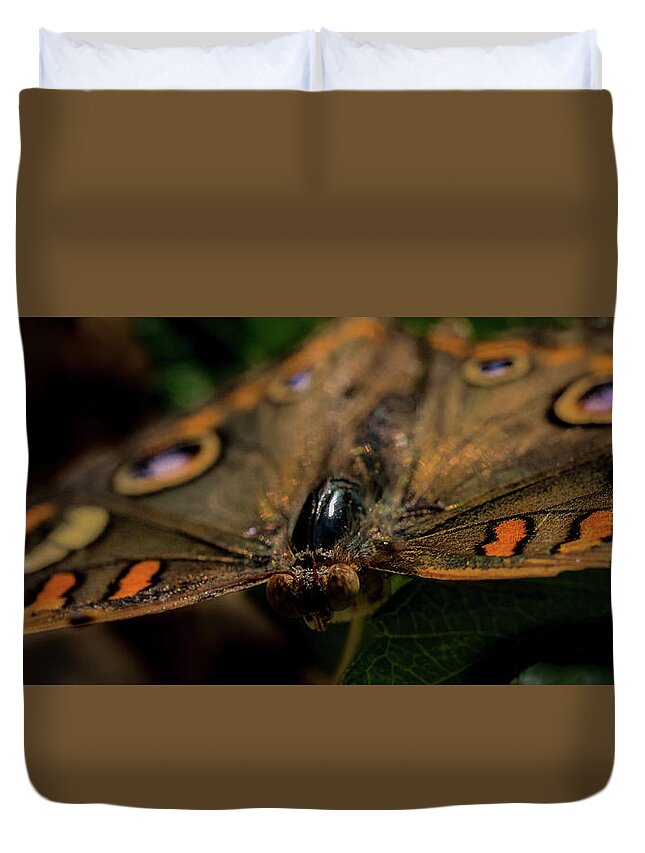 Jay Stockhaus Duvet Cover featuring the photograph Butterfly #4 by Jay Stockhaus