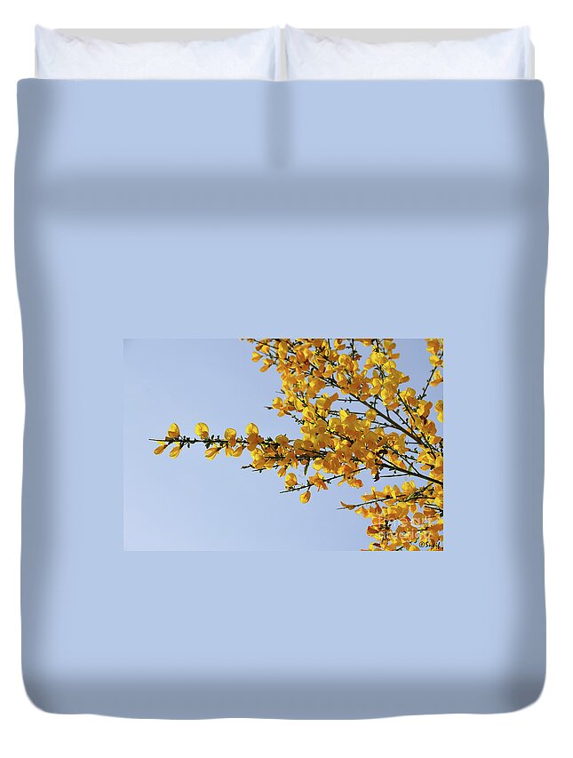 Ginestra Duvet Cover featuring the photograph Ginestre #4 by Ilaria Andreucci