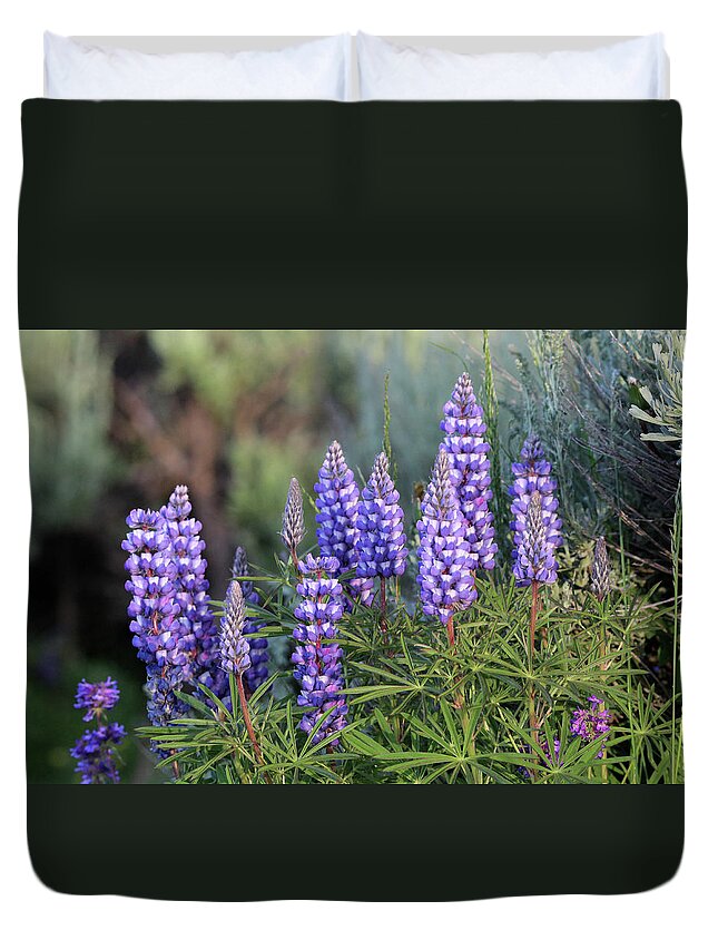 Lupine Duvet Cover featuring the photograph Lupine Yellowstone USA #4 by Bob Savage