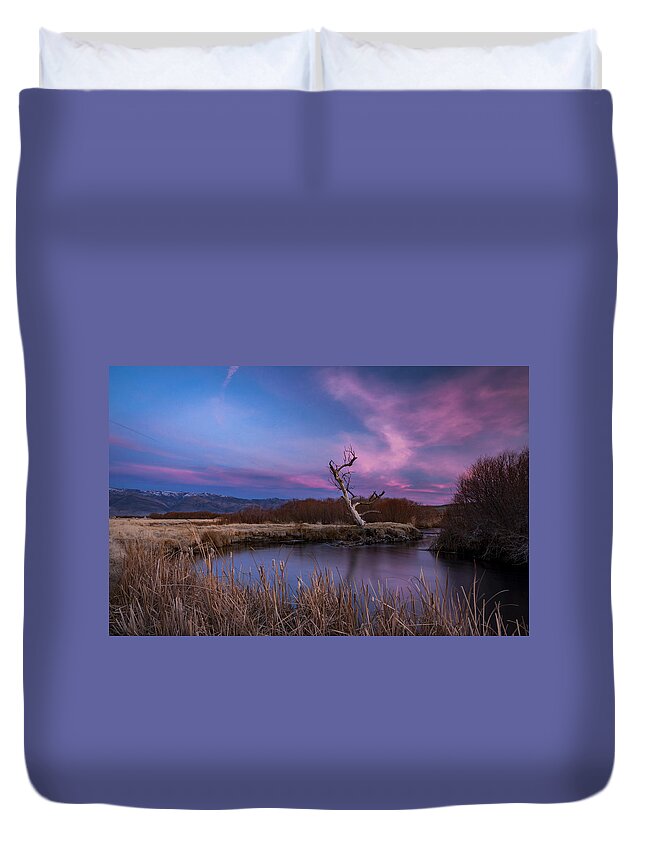 California Duvet Cover featuring the photograph Owens River Sunset #4 by Cat Connor