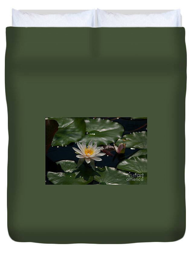 Pink Duvet Cover featuring the photograph Pink Lotus Waterlilies #4 by Jackie Irwin