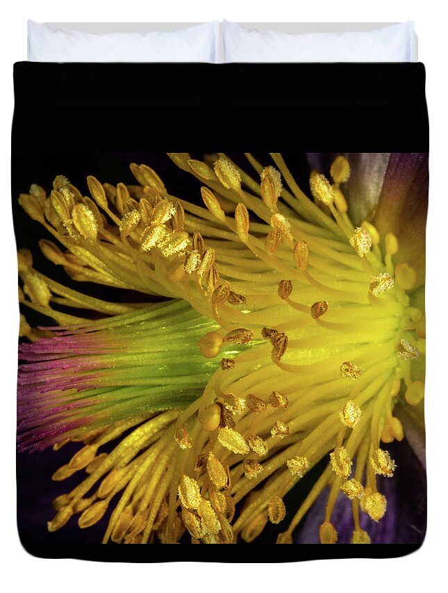 Jay Stockhaus Duvet Cover featuring the photograph Purple and Yellow #4 by Jay Stockhaus