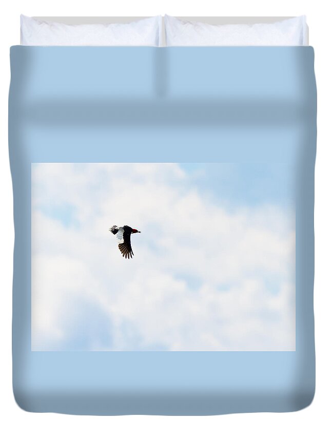 Red-headed Woodpecker Duvet Cover featuring the photograph Red-Headed Woodpecker by Holden The Moment