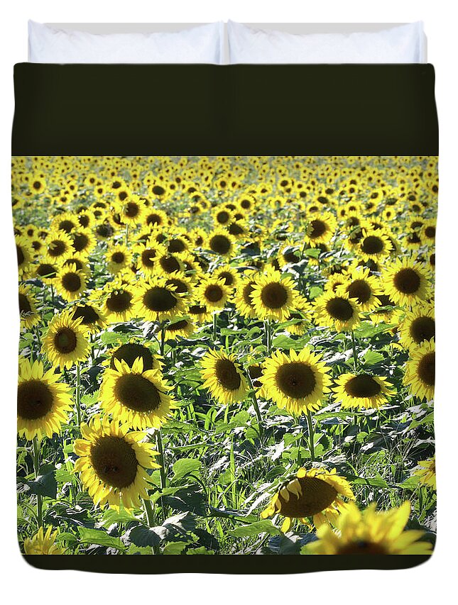 Sunflower Duvet Cover featuring the photograph Sunflowers Mattituck New York #4 by Bob Savage