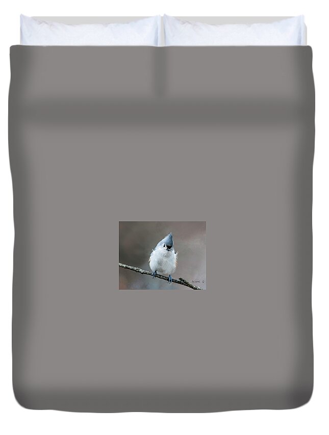 Tufted Titmouse Duvet Cover featuring the photograph Tufted Titmouse #4 by Diane Giurco