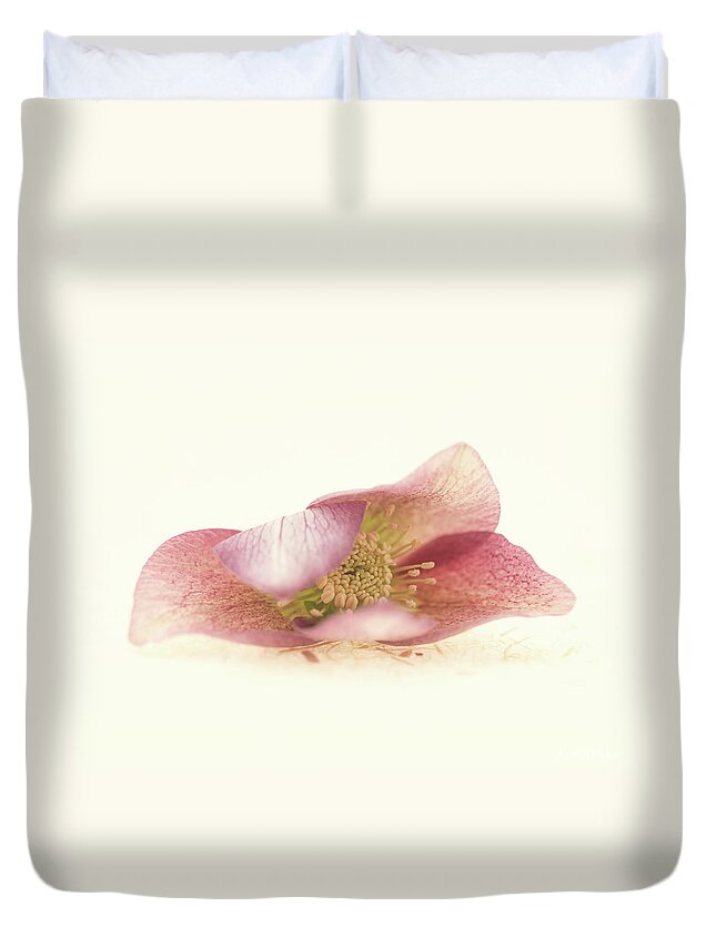 Flower Duvet Cover featuring the photograph Hellebore Bud by Anne Geddes
