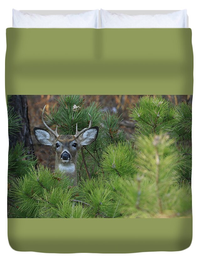 White Tail Deer Duvet Cover featuring the photograph White Tailed Deer Calverton New York #4 by Bob Savage