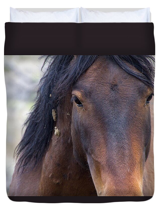 Horses Duvet Cover featuring the photograph Wild Mustang Horse #4 by Waterdancer 