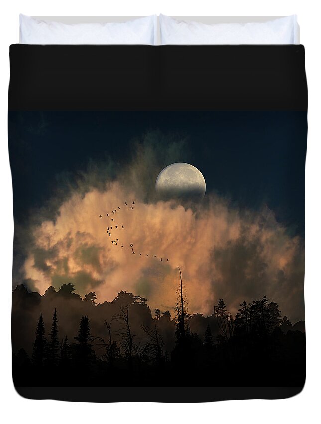 Trees Duvet Cover featuring the photograph 4234 by Peter Holme III