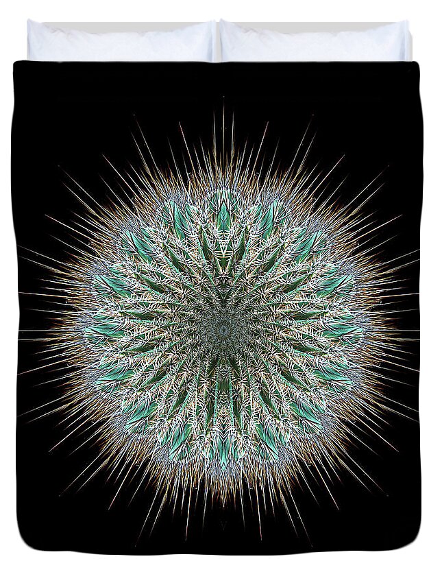 Cactus Duvet Cover featuring the photograph 4418 by Peter Holme III