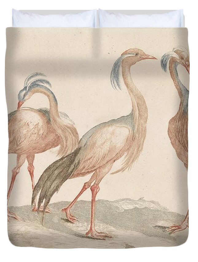 Three Cranes Duvet Cover featuring the painting Anonymous #5 by MotionAge Designs