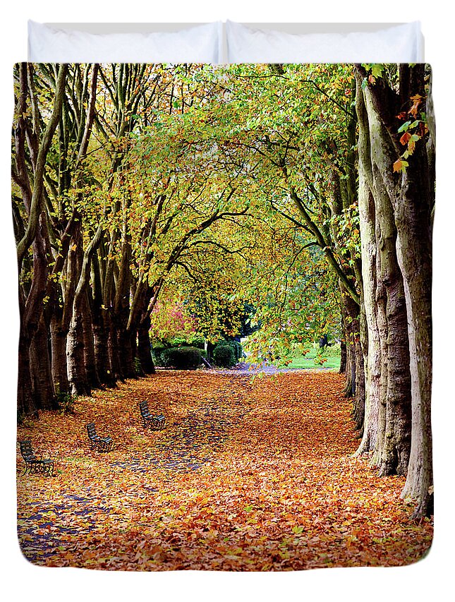 Autumn Duvet Cover featuring the photograph Autumn in the park by Colin Rayner
