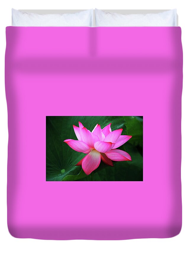 Lotus Duvet Cover featuring the photograph Blossoming lotus flower closeup #5 by Carl Ning